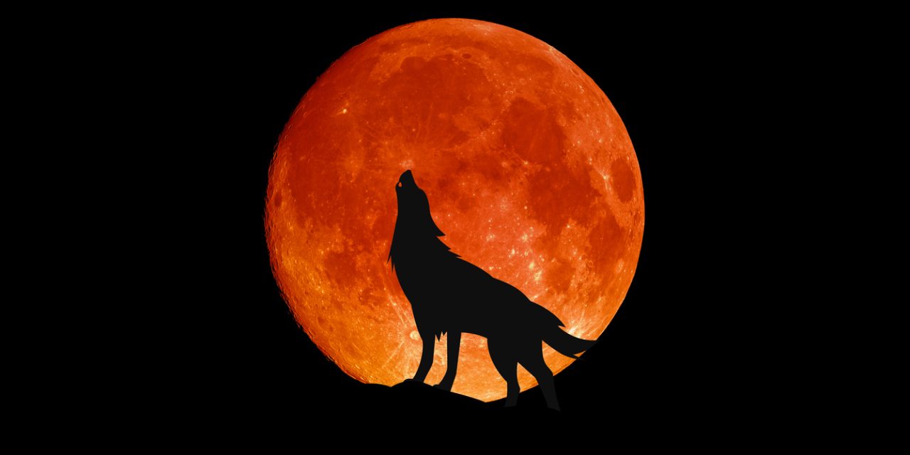 Howling at the Moon? Why You May Feel “Off” This Week